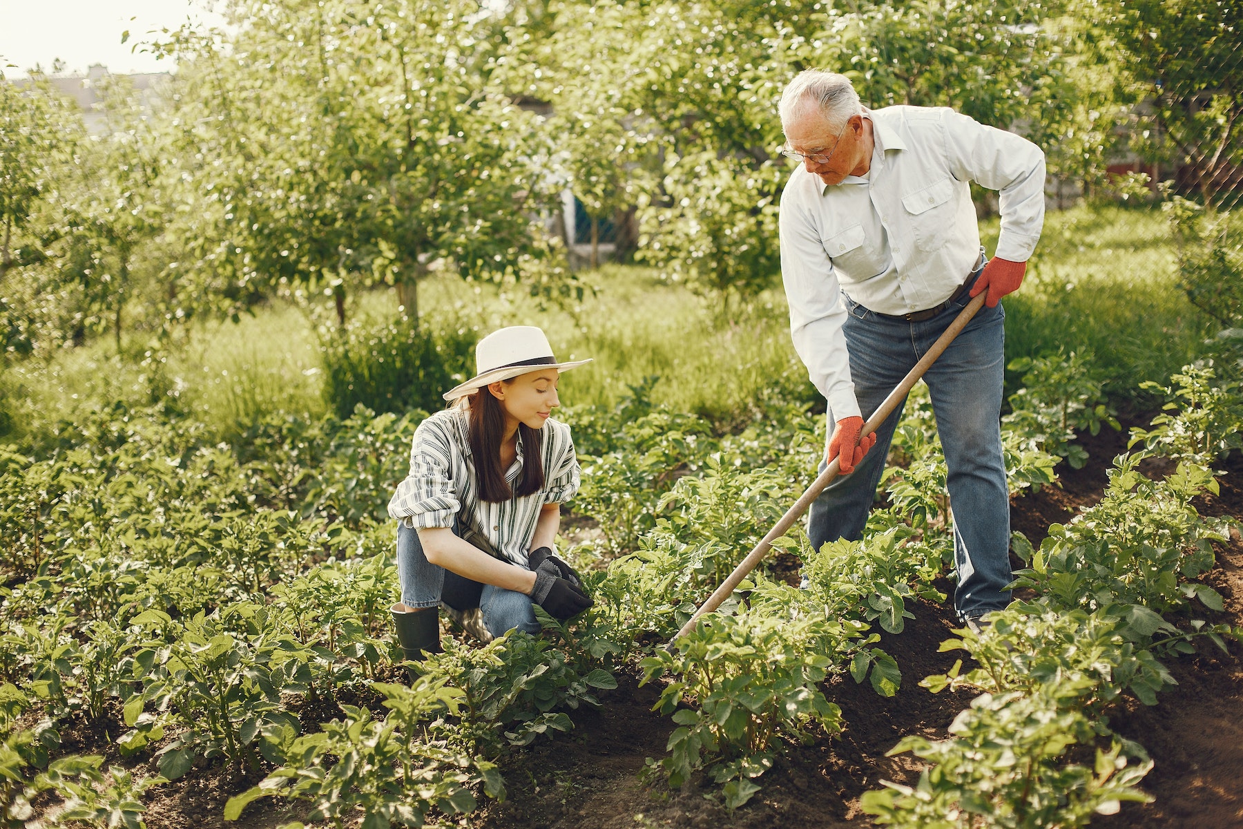 Warum Gartenarbeit gut für die psychische Gesundheit ist