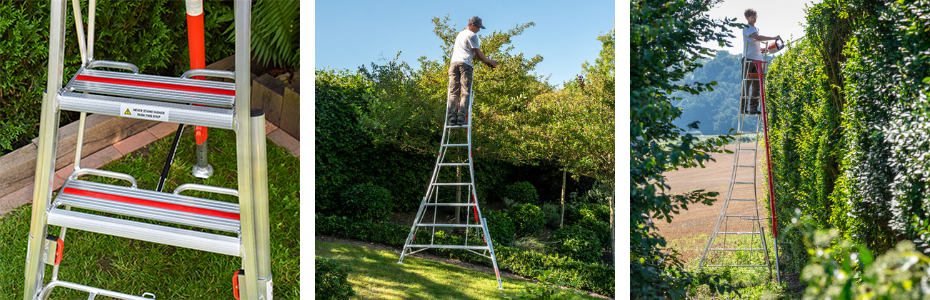 Henchman ladder being used to prune a wall plant